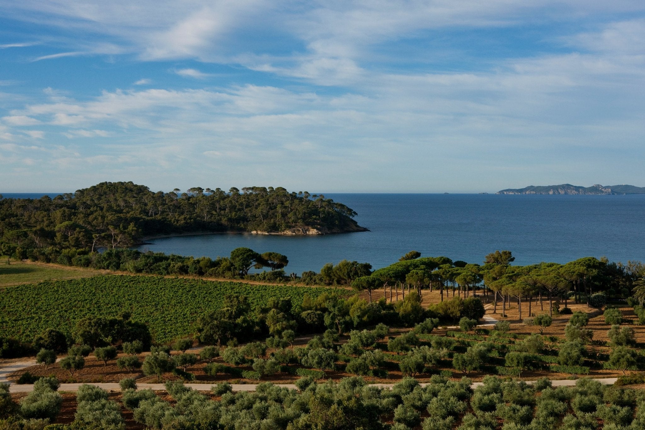 bormes les mimosas chateau léoube mer plage écoresponsable