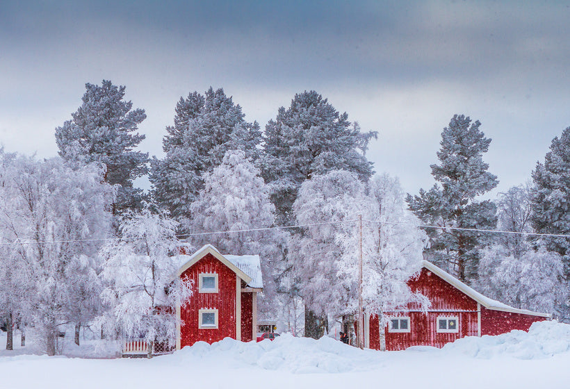 Les destinations de Noël avec Apnée