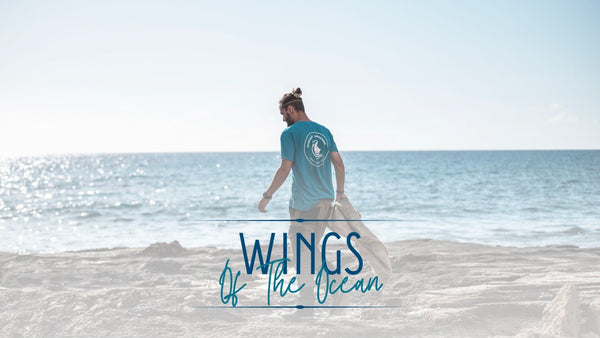 </br></br> Apnée x Wings of the Ocean