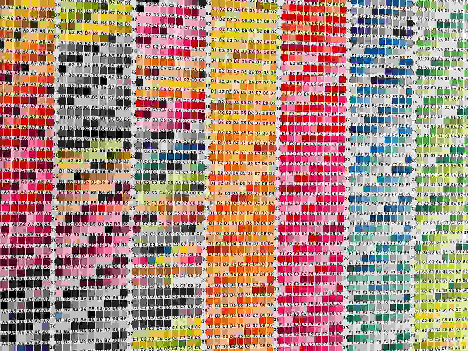 Apnée - Les secrets de la collection 2026