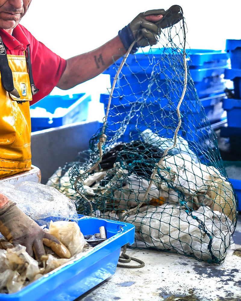 plastique déchets océan pêcheur